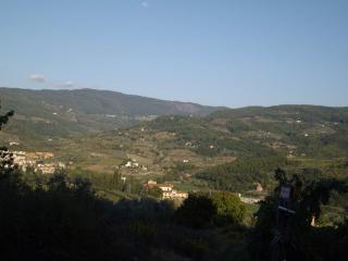 th 111739valle-pomino