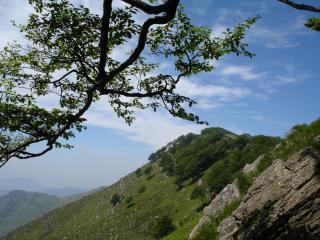 Monte Ramaceto - Appennino Ligure