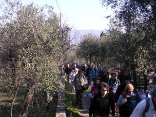 th 354351s.fruttuoso