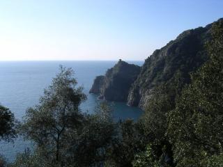 th 611737s.fruttuoso6
