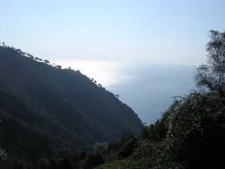 th 854228s.fruttuoso2